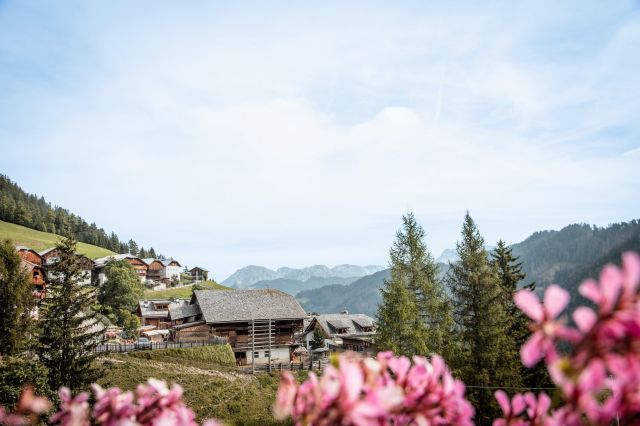 Agriturismo Tlisöra: appartamenti unici nel cuore delle Dolomiti Immagine: Agriturismo Tlisöra, Val Badia