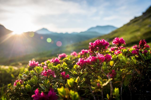 Passeggiate in Val Badia Immagine: Passeggiate in Val Badia