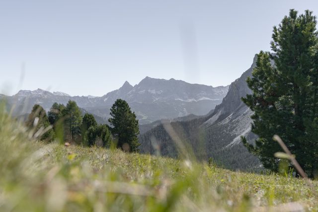 Sport e gourmet nelle Dolomiti Immagine: Sport e gourmet nelle Dolomiti